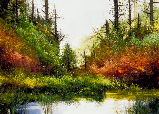 99205 Pond Hide Away, by Dominguez M, available in multiple sizes