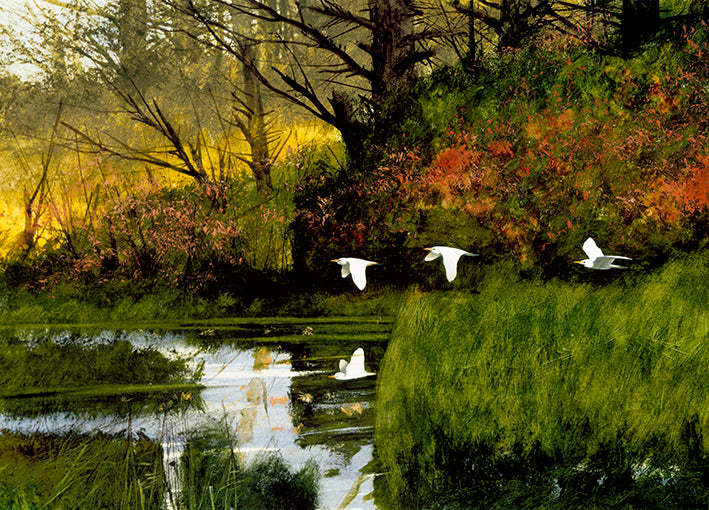 99221 Pond Flight, by Dominguez M, available in multiple sizes