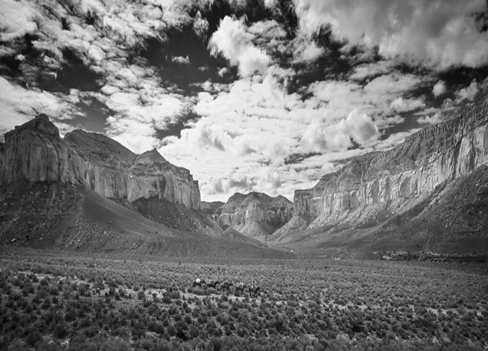 101953 On the Trail, by Dunker, available in multiple sizes