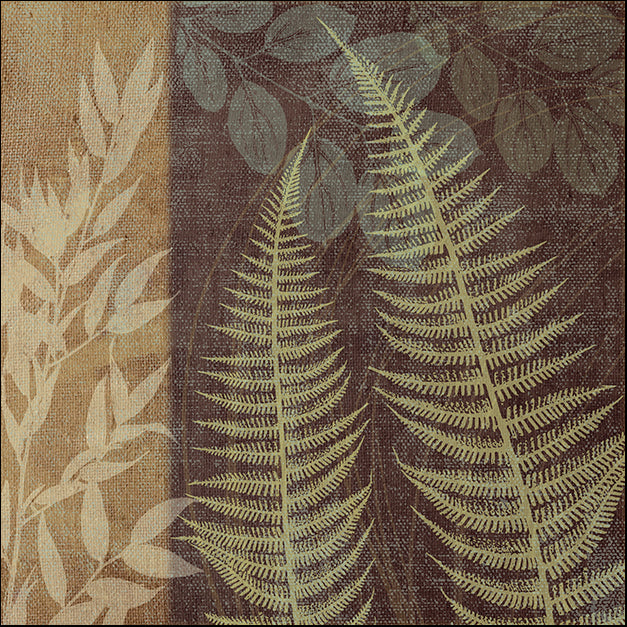 ERICLA112872 Ferns I, by Erin Clark, available in multiple sizes