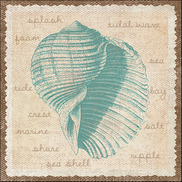 ERICLA114118 Shell, by Erin Clark, available in multiple sizes
