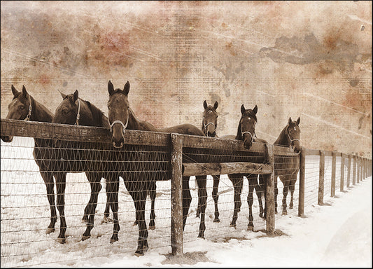 ERICLA122042 6 Faces Vintage, by Erin Clark, available in multiple sizes