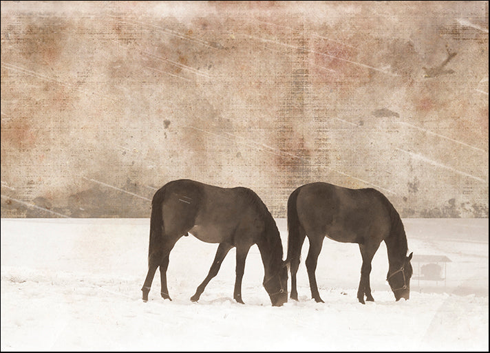 ERICLA122043 Grazing Pair, by Erin Clark, available in multiple sizes
