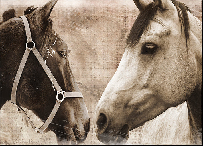 ERICLA122045 Horse Pair, by Erin Clark, available in multiple sizes