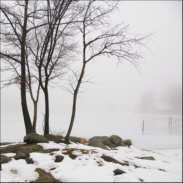 ERICLA125675 Four Trees, by Erin Clark, available in multiple sizes