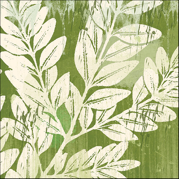 ERICLA125683 Sage Foliage, by Erin Clark, available in multiple sizes