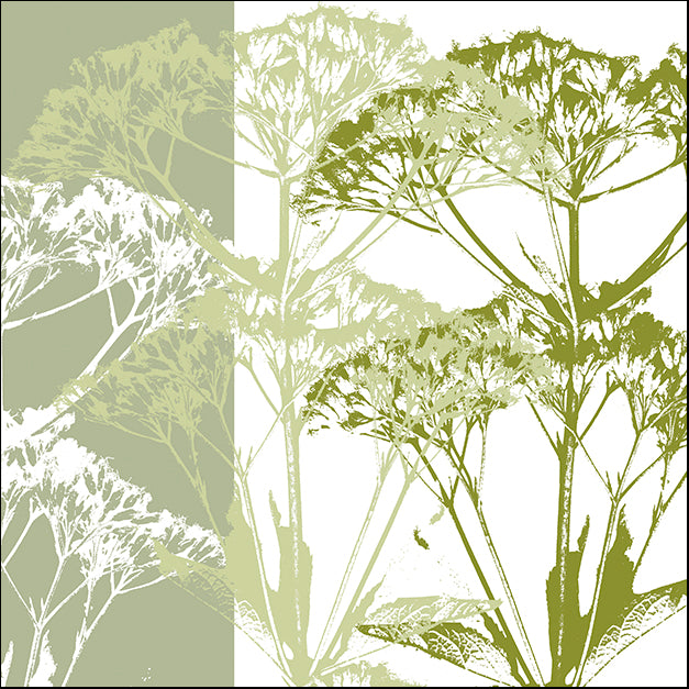 ERICLA83752 Delicate Greens, by Erin Clark, available in multiple sizes