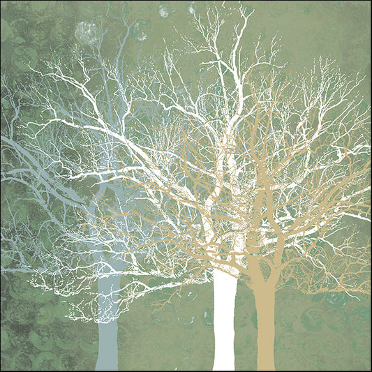 ERICLA83754 Quiet Forest, by Erin Clark, available in multiple sizes