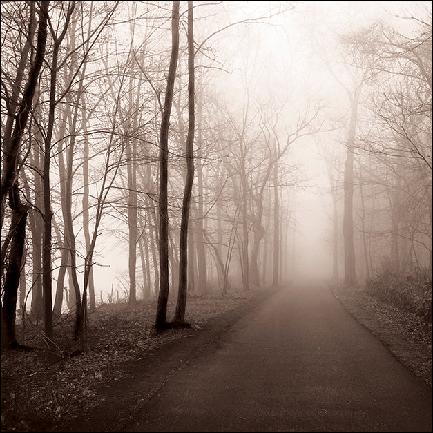 ERICLA83788 Foggy Path, by Erin Clark, available in multiple sizes