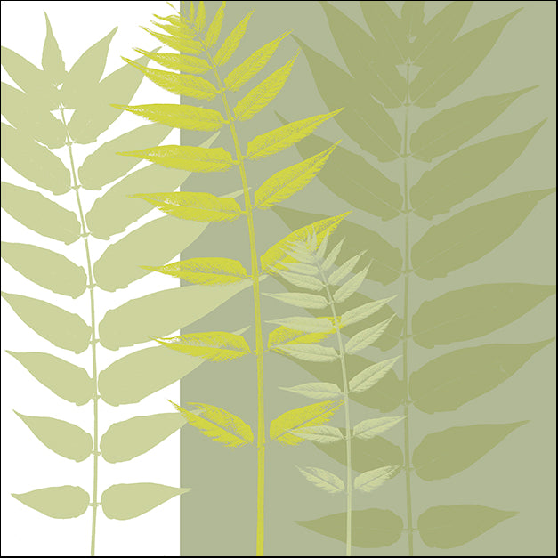 ERICLA83820 Field Greens, by Erin Clark, available in multiple sizes - Chamton
