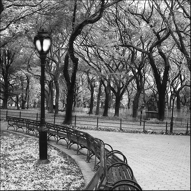 ERICLA83828 A Walk Through the Park, by Erin Clark, available in multiple sizes