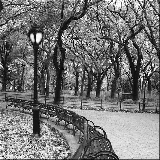 ERICLA83828 A Walk Through the Park, by Erin Clark, available in multiple sizes