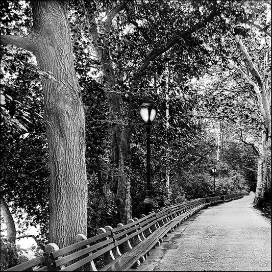 ERICLA83883 Respite, by Erin Clark, available in multiple sizes