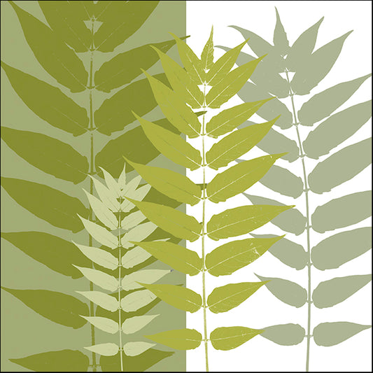 ERICLA83888  Garden Greens, by Erin Clark, available in multiple sizes