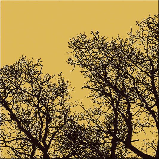 ERICLA92066 Rejoice I, by Erin Clark, available in multiple sizes