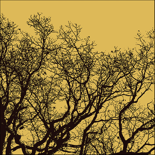 ERICLA92067 Rejoice II, by Erin Clark, available in multiple sizes