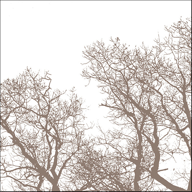 ERICLA92070 Majesty I, by Erin Clark, available in multiple sizes