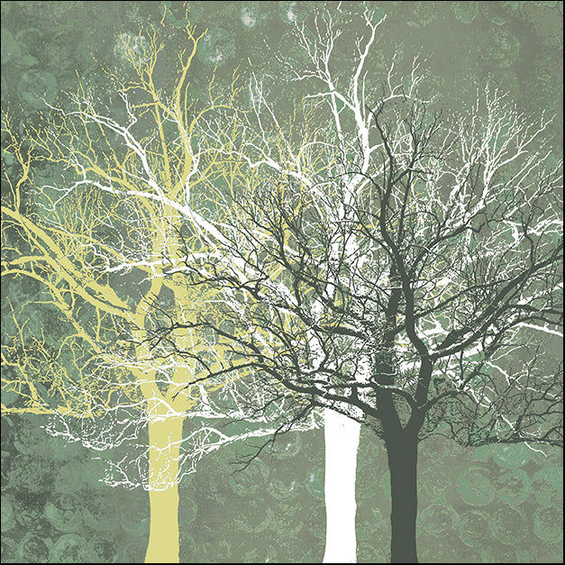 ERICLA92084 Silent Forest, by Erin Clark, available in multiple sizes