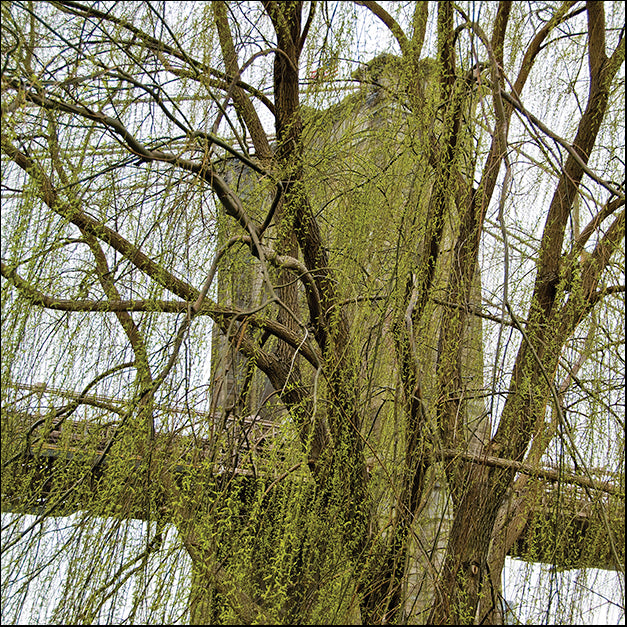 ERICLA92147 Veiled Brooklyn Bridge (detail), by Erin Clark, available in multiple sizes