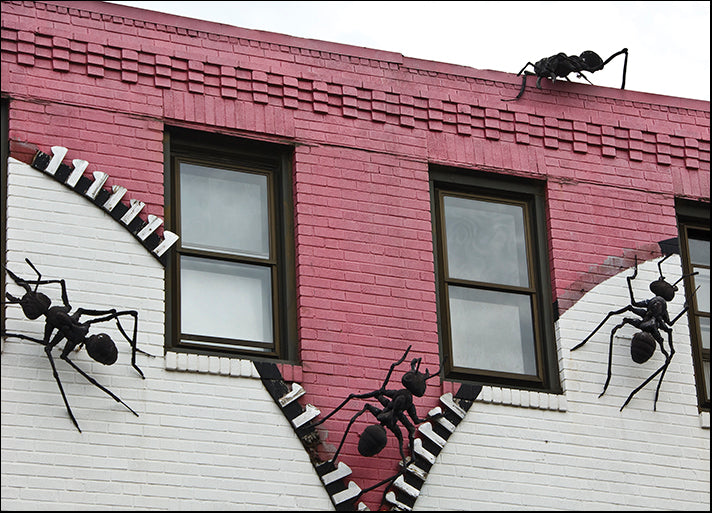 ERICLA92171 Ants, by Erin Clark, available in multiple sizes - Chamton