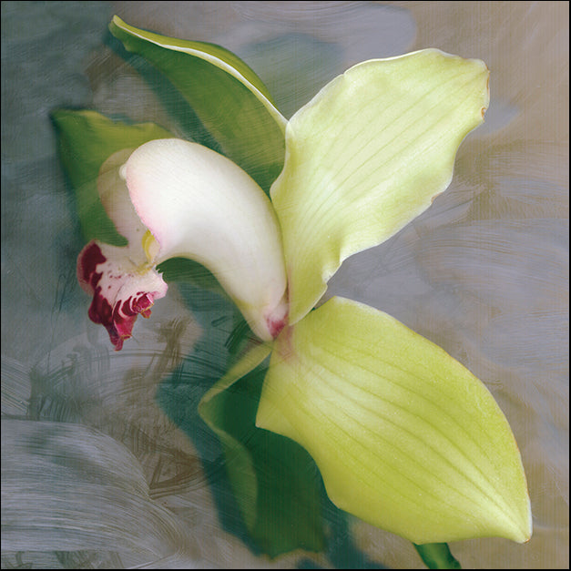 ERICLA92314 Tropicale, by Erin Clark, available in multiple sizes