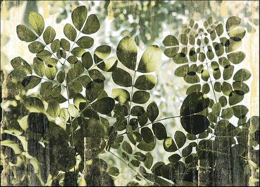 ERICLA92364 Dappled Radiance, by Erin Clark, available in multiple sizes