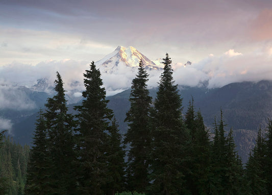 83243 Mount Baker, by Edmondson, available in multiple sizes
