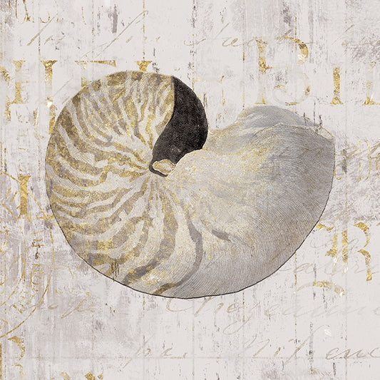 FZ027-A Golden Vintage Shell II,  available in multiple sizes