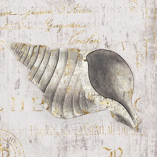 FZ028-A Ivory Vintage Shell I,  available in multiple sizes