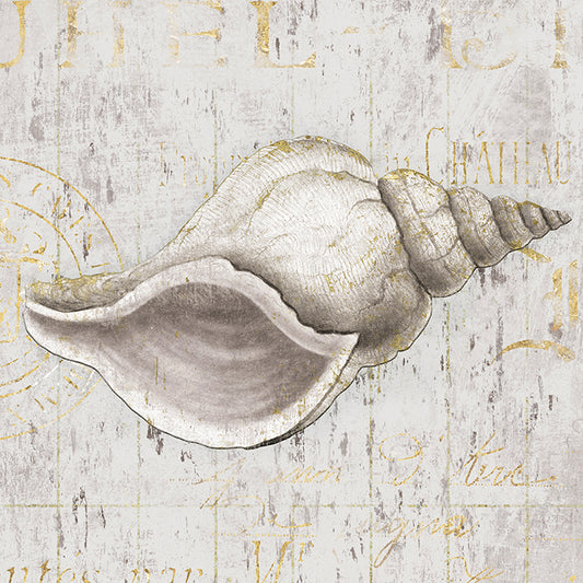 FZ029-A Ivory Vintage Shell II,  available in multiple sizes - Chamton