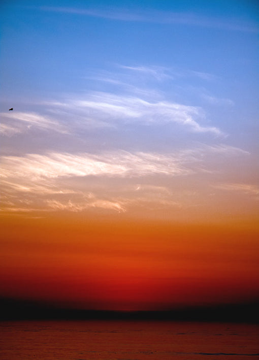 92884 Lone Sunset, by Frederick, available in multiple sizes