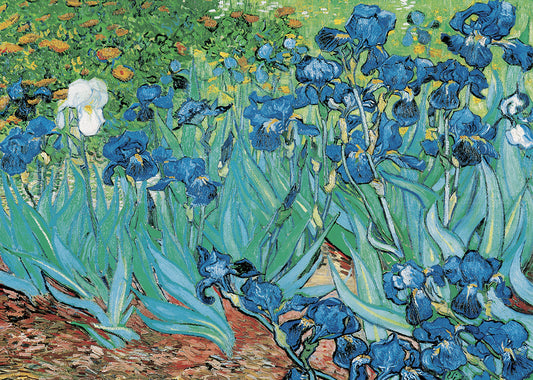 GC022 Iris, available in multiple sizes