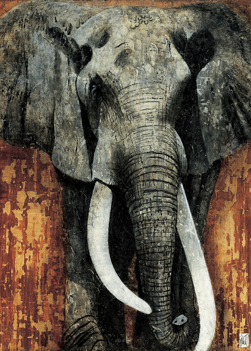 GC142 Elephant, available in multiple sizes