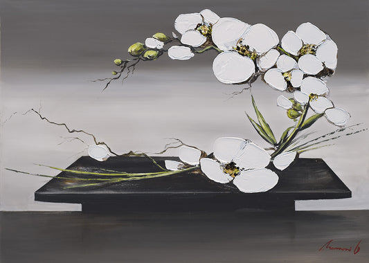GC362 Orchids on Display, available in multiple sizes