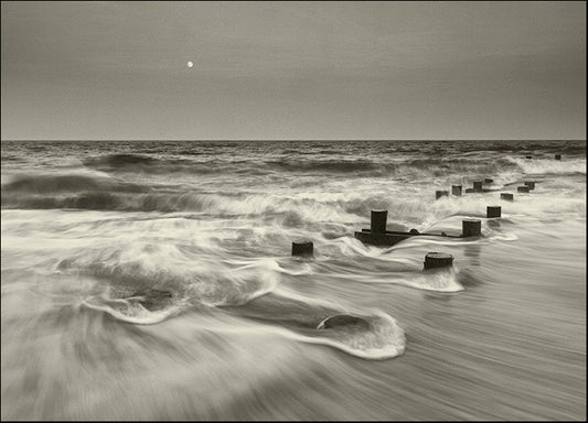GEOAGR110879 Pelican Chorus, by Geoffrey Ansel Agrons, available in multiple sizes
