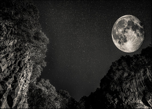 GIUTOR113134 39, by Giuseppe Torre, available in multiple sizes - Chamton