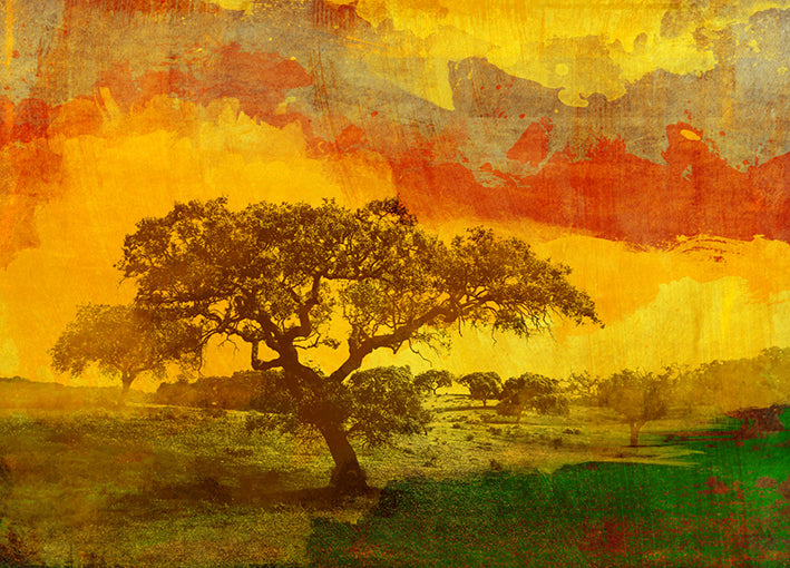 86482 Summer Sunsets, by GI artlab, available in multiple sizes