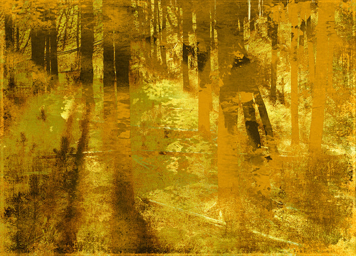 86491 Golden Birch Meadow, by GI artlab, available in multiple sizes