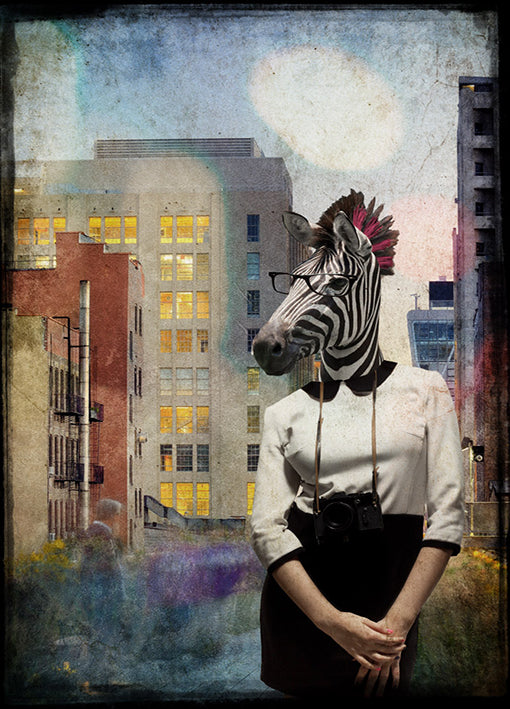 88030 Zebra Strolling the High Line, by GI artlab, available in multiple sizes