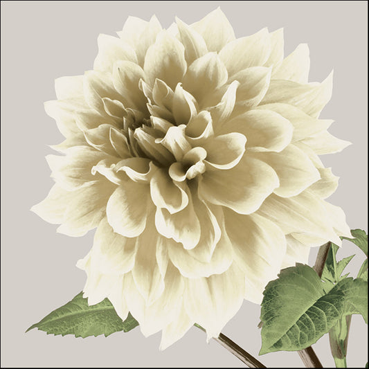 88048 Vintage Florals H, by GI artlab, available in multiple sizes