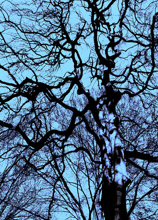 88192 Infrared Tree 12, by GI artlab, available in multiple sizes