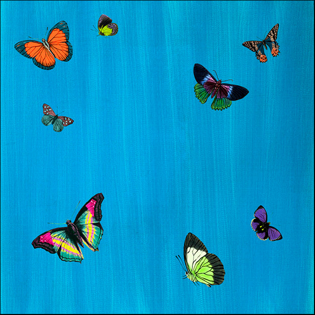 88619 Flutter F, by GI artlab, available in multiple sizes