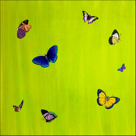 88621 Flutter H, by GI artlab, available in multiple sizes
