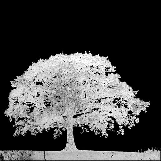 89041 Screened Tree C, by GI artlab, available in multiple sizes