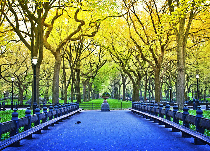 89322 Central Park, by GI artlab, available in multiple sizes