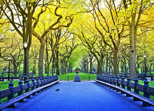 89322 Central Park, by GI artlab, available in multiple sizes