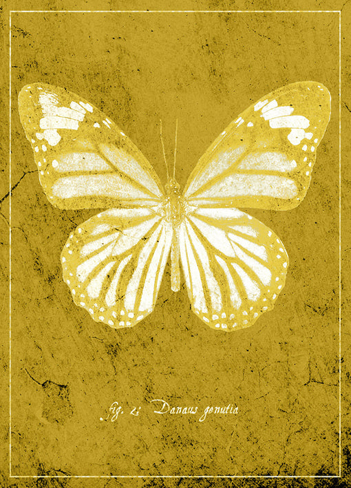 89443 Butterfly J, by GI artlab, available in multiple sizes