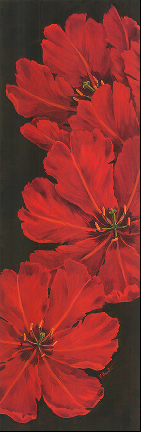 G BNT98 Bellla Grande Tulips by Paul Brent 30x91cm on paper