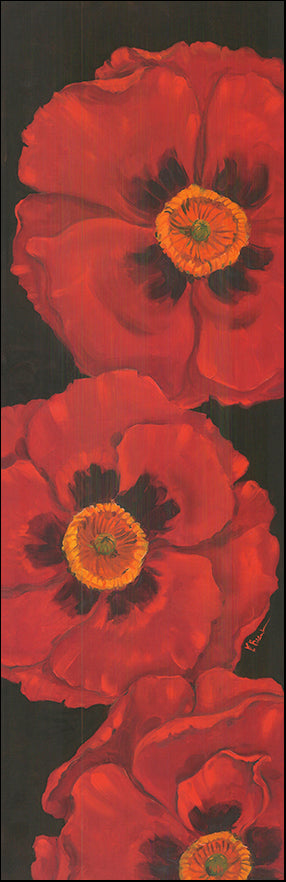 G BNT99 Bellla Grande Poppies by Paul Brent 30x91cm on paper