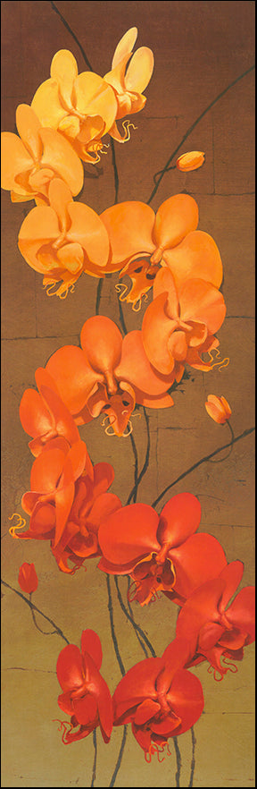 G JCCTL101 Golden Orchids 2 by Kenneth Catlett 33x99cm on paper
